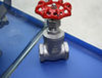 Stainless Steel Threaded Gate Valve