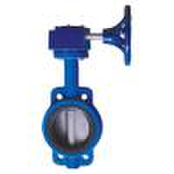 Butterfly Valve with Pin