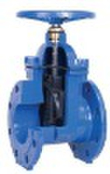 Resilient seated gate valve with Flanged