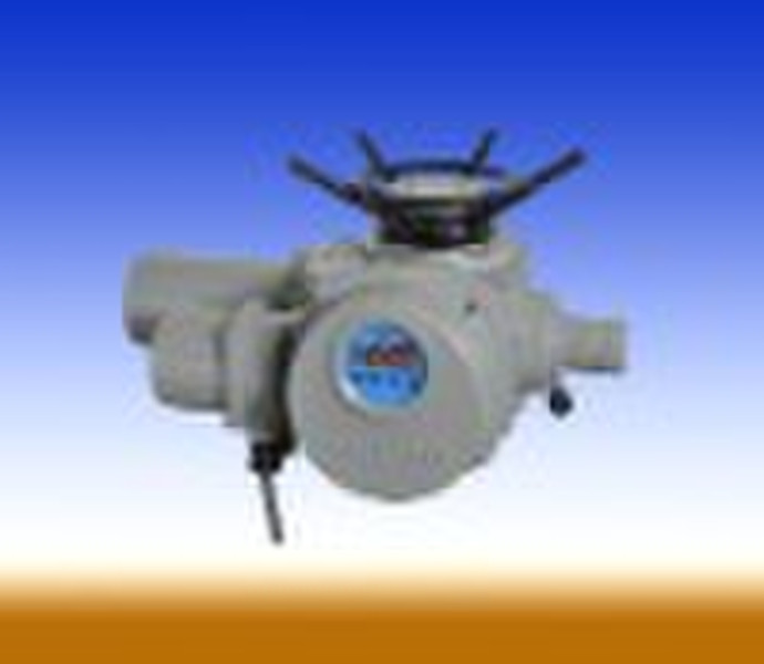 electric valve actuator