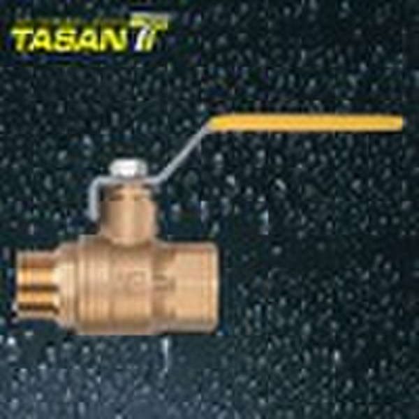 T131 20 Brass Valve