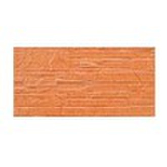 exterior wall tile 200X400MM