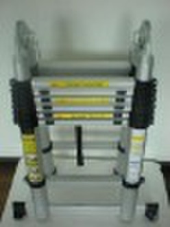 Telescopic Ladder (DT-32)