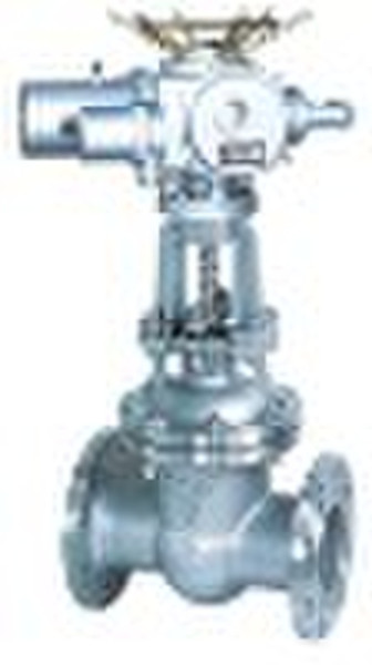 Electric stainless steel gate valve