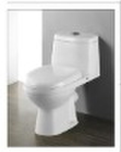 wall mounted toilet 2023