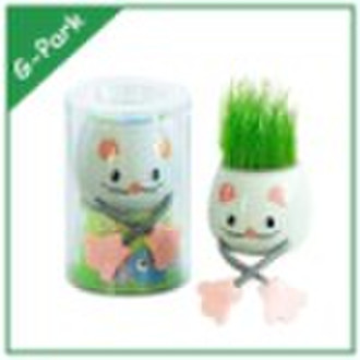 grass doll    mini  plant