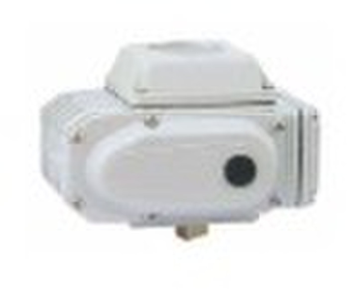 Electric Rotary Actuator