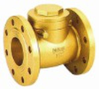 Brass flange check valve