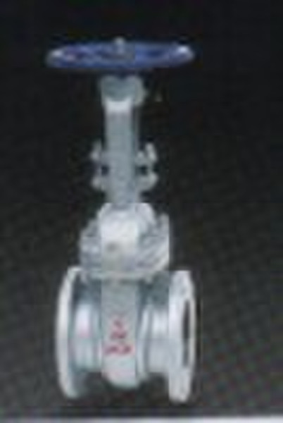 ASNI  gate  valve