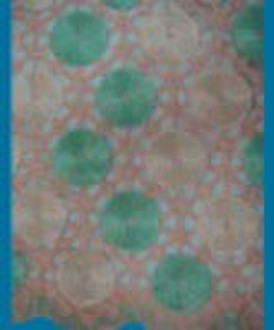 embroidery lace fabric HH001 C4