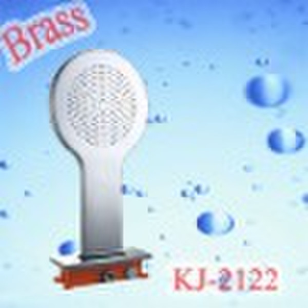 Stainless steel rainfall shower head