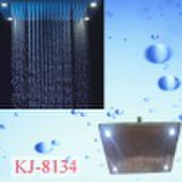 Stainless steel LED shower head