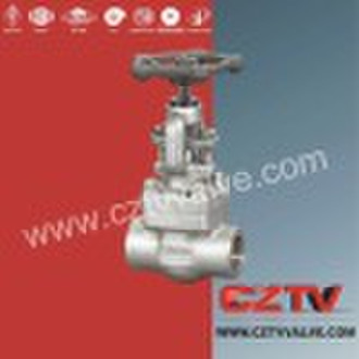 Forged globe valve