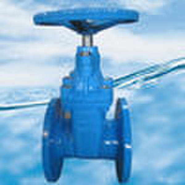 Rubber Gate Valve