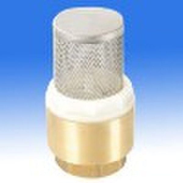 brass check valve