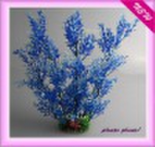 (0840 141B) aquarium plants