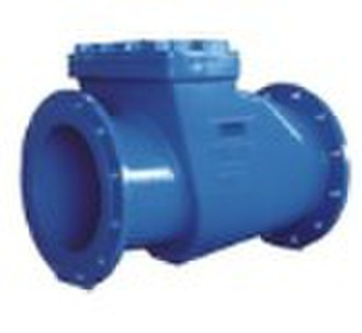 Swing Check Valve