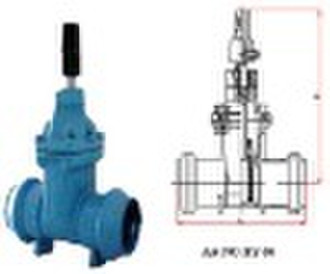 Gate Valves