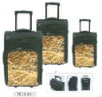 trolley case