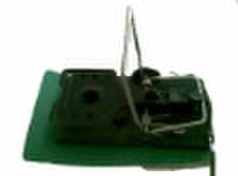 rat trap