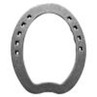 Iron Horseshoe