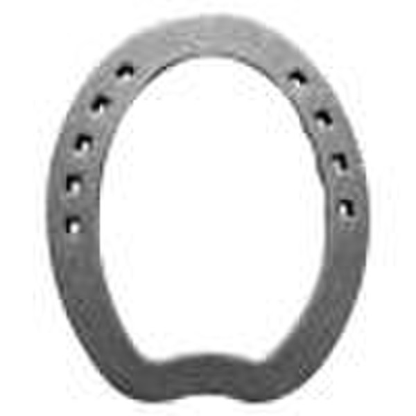 Iron Horseshoe