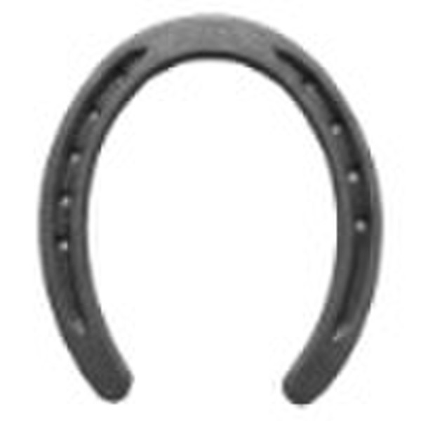 Racing Horseshoe