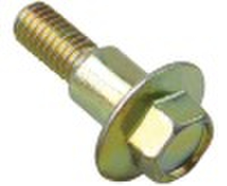 particular hex bolt