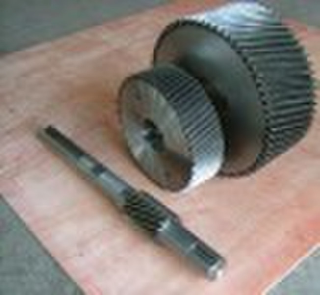 spur gear