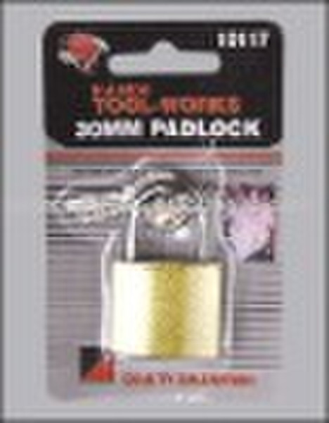30mm Padlock