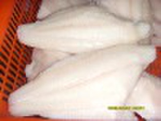 white catfish fillet