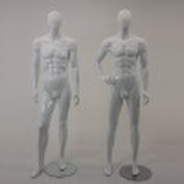 玻璃纤维强化塑料有光泽的男性人体模特