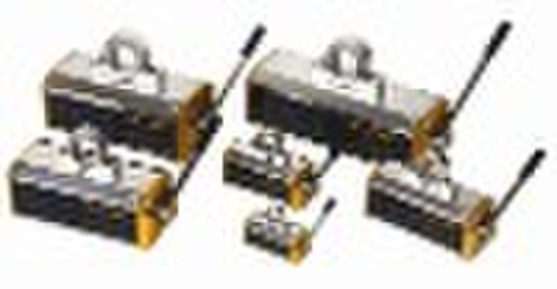 Permanent Magnetic Lifter