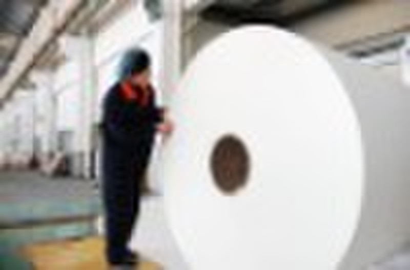 pe coated paper