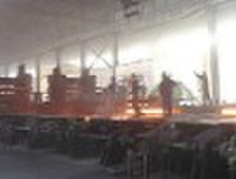 Rolling Mill for TMT bar