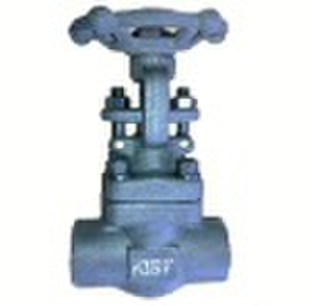 Forged steel gate valve