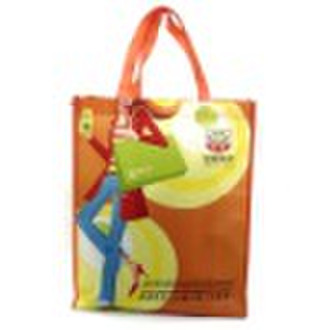 2010 new shopping bag