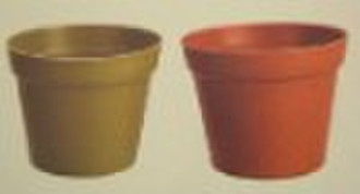 biodegradable pot