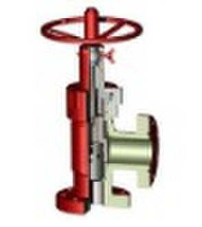 Adjustable Choke Valve