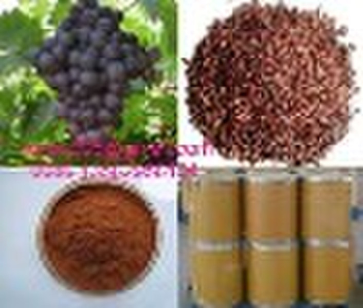 Antioxidant grape seed extract