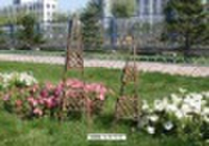 Willow trellis