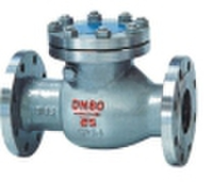 Swing check valves