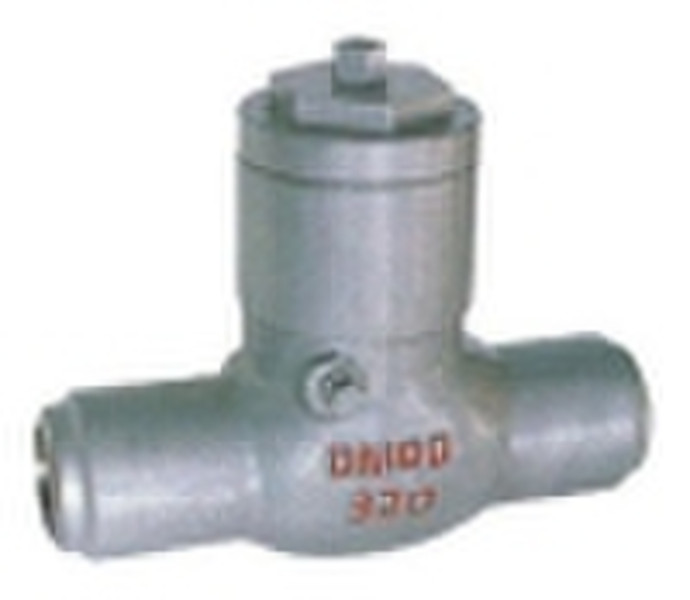 Power station check valve