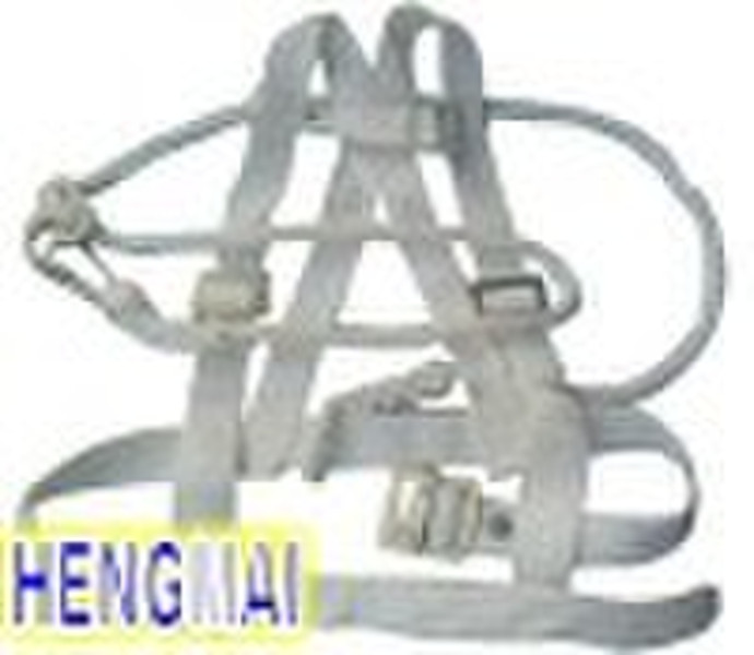 double belt hanging type