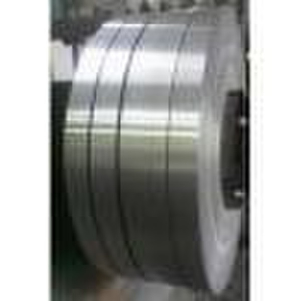 Stainless Steel Strips
