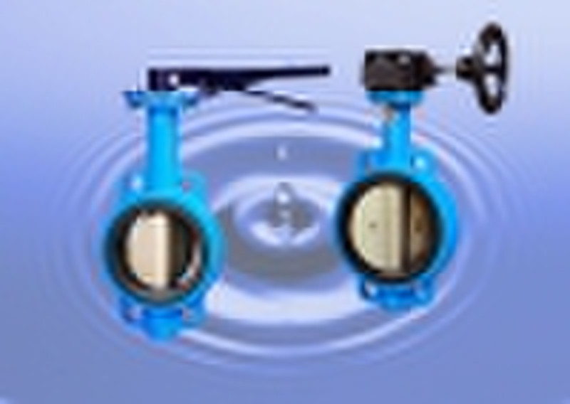 butterfly valve