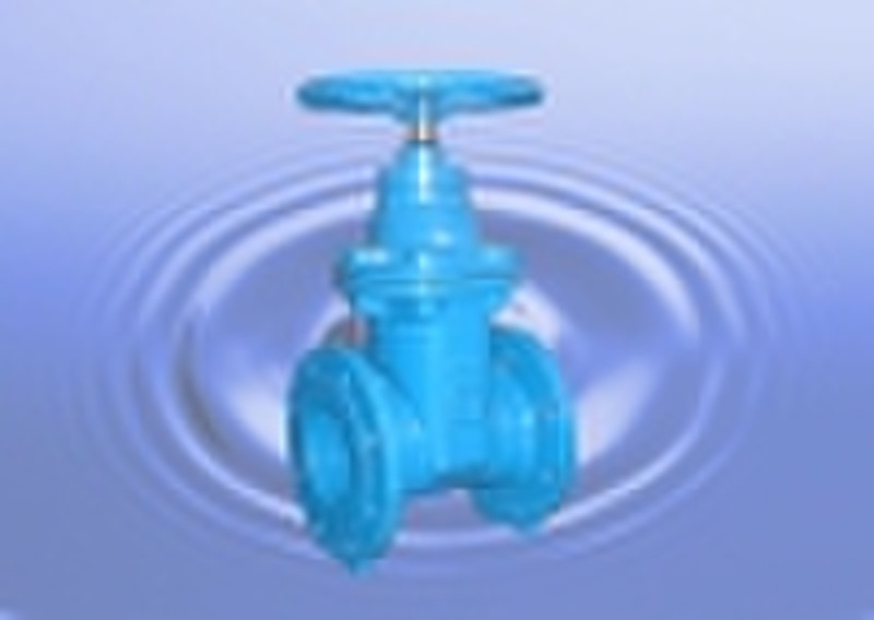 gate valve