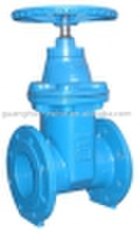 gate valve