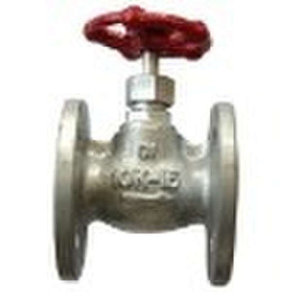 Globe Valve