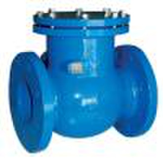 Swing Check Valve